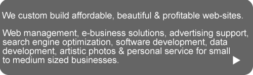 Welcome to Web Consulting Services for Custom, Affordable Web-Site Design and Search Engine Optimization for Small to Medium Sized Businesses